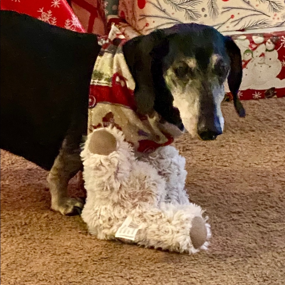 Meet your Posher, Kristi